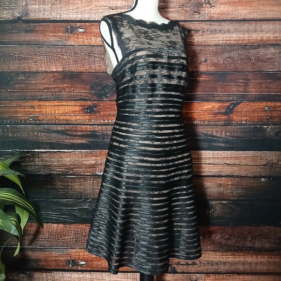 Gianni Bini Dress 10 Black Lace Striped Fit & Flare Lined - Picture 4 of 10